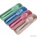 Windspeed 3 Piece Flatware Set- Portable Flatware Spoon Chopsticks Fork with Travel Case Green - B06XT469YV
